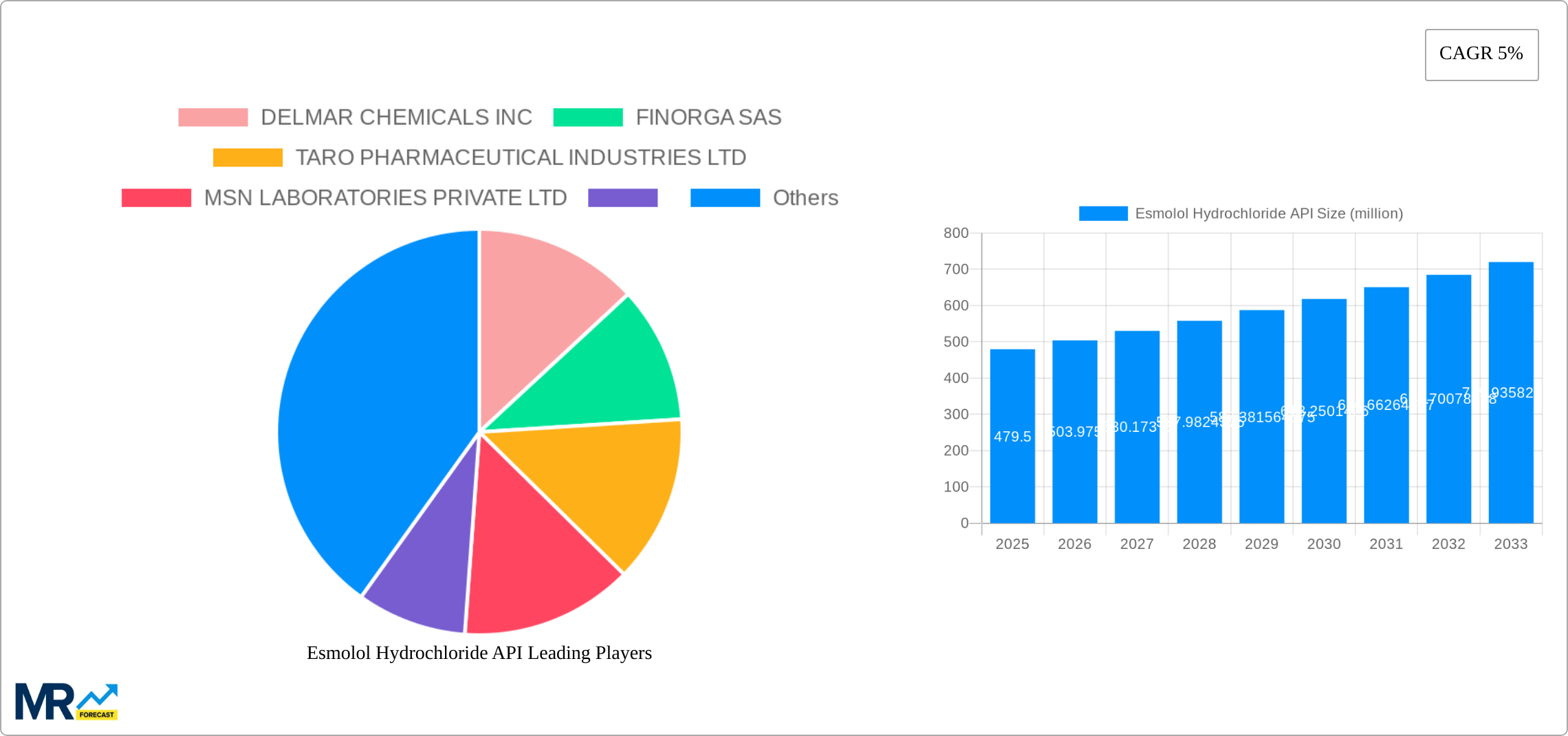 Esmolol Hydrochloride API Research Report - Market Size, Growth & Forecast