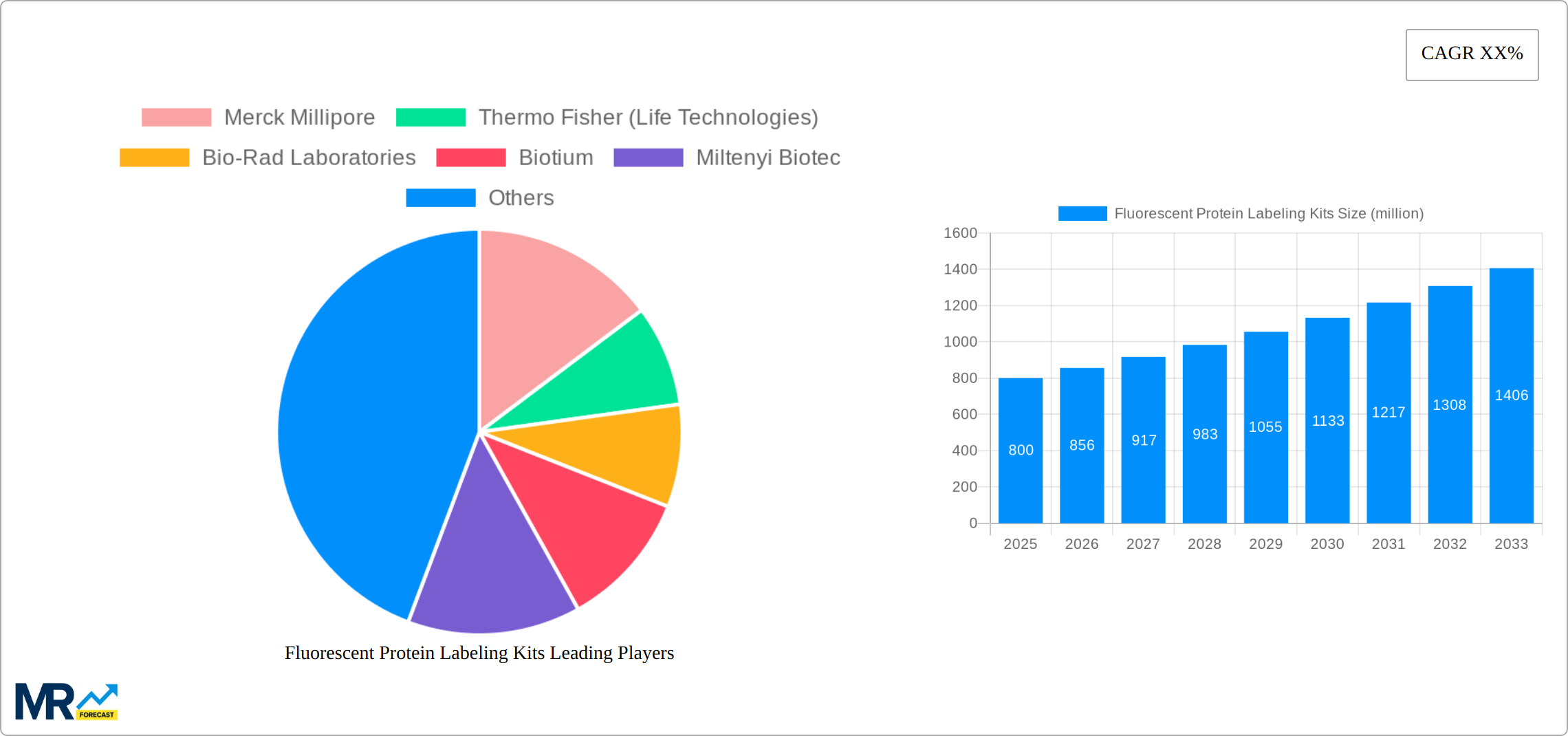 Fluorescent Protein Labeling Kits Research Report - Market Size, Growth & Forecast