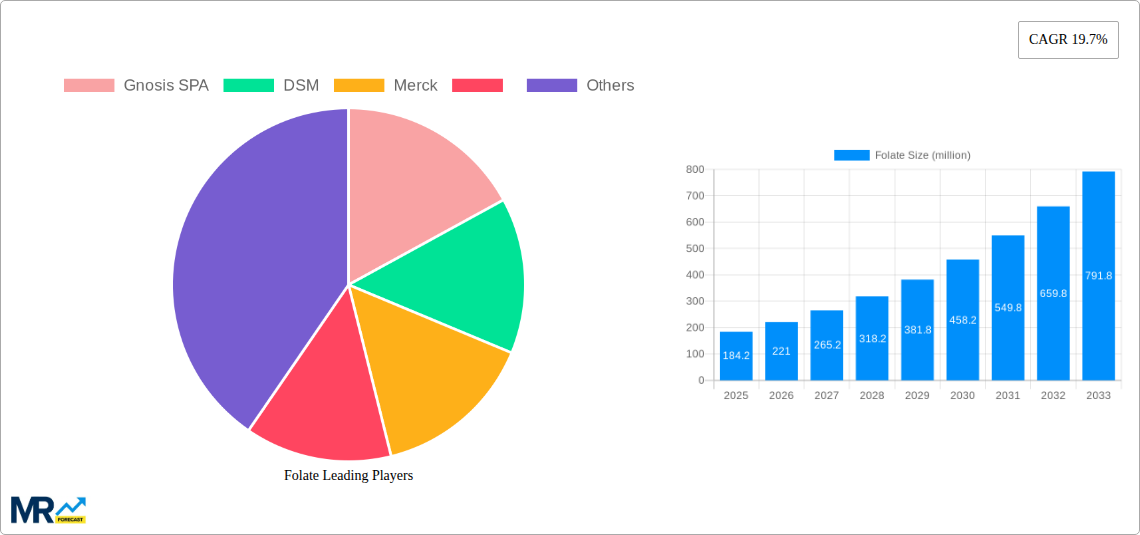 Folate Research Report - Market Size, Growth & Forecast