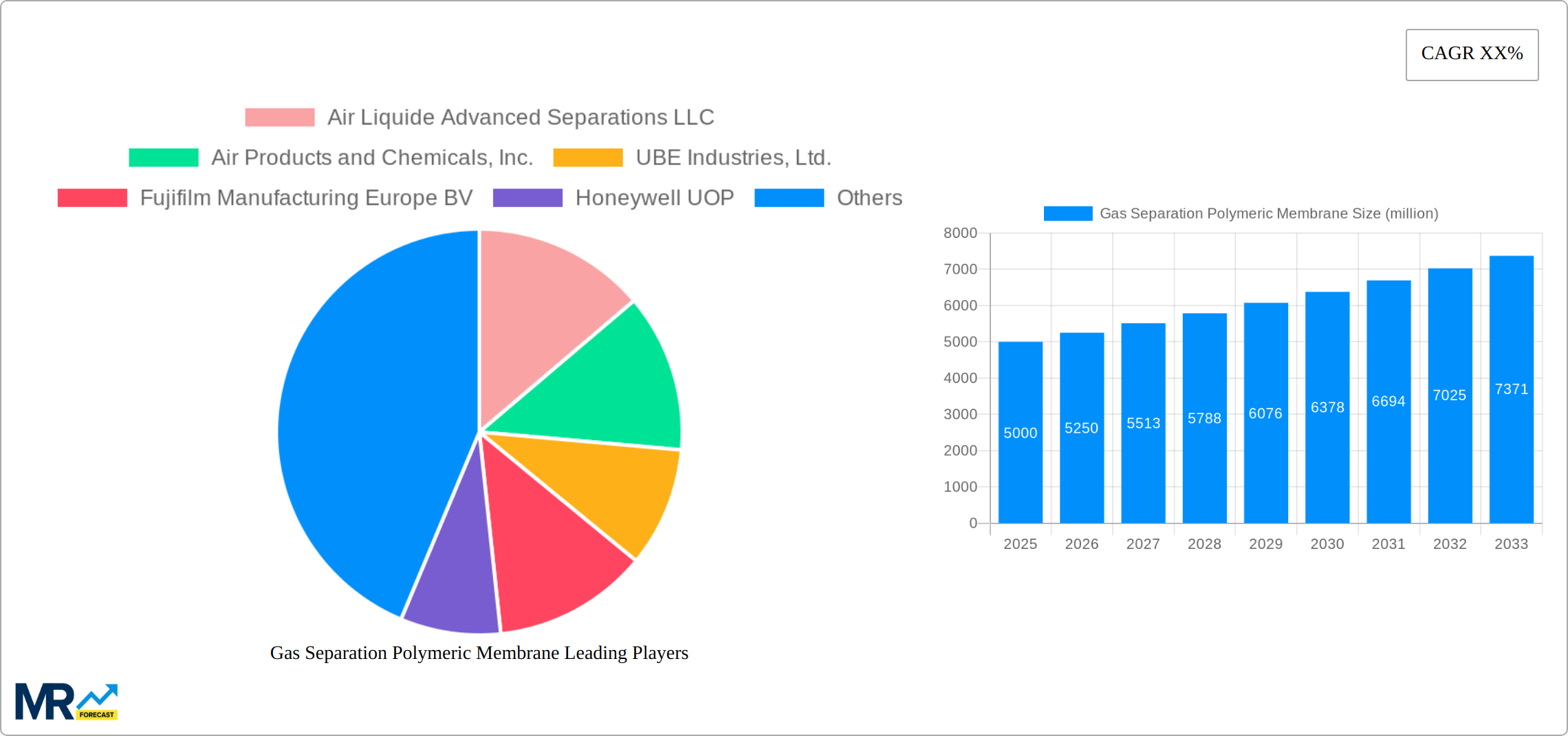Gas Separation Polymeric Membrane Research Report - Market Size, Growth & Forecast