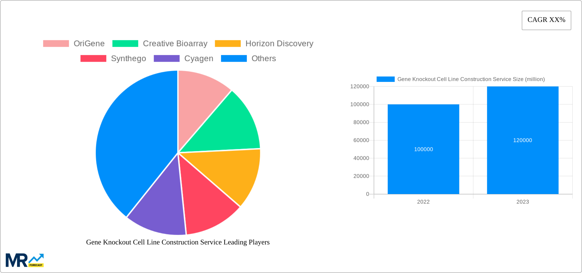 Gene Knockout Cell Line Construction Service Research Report - Market Size, Growth & Forecast