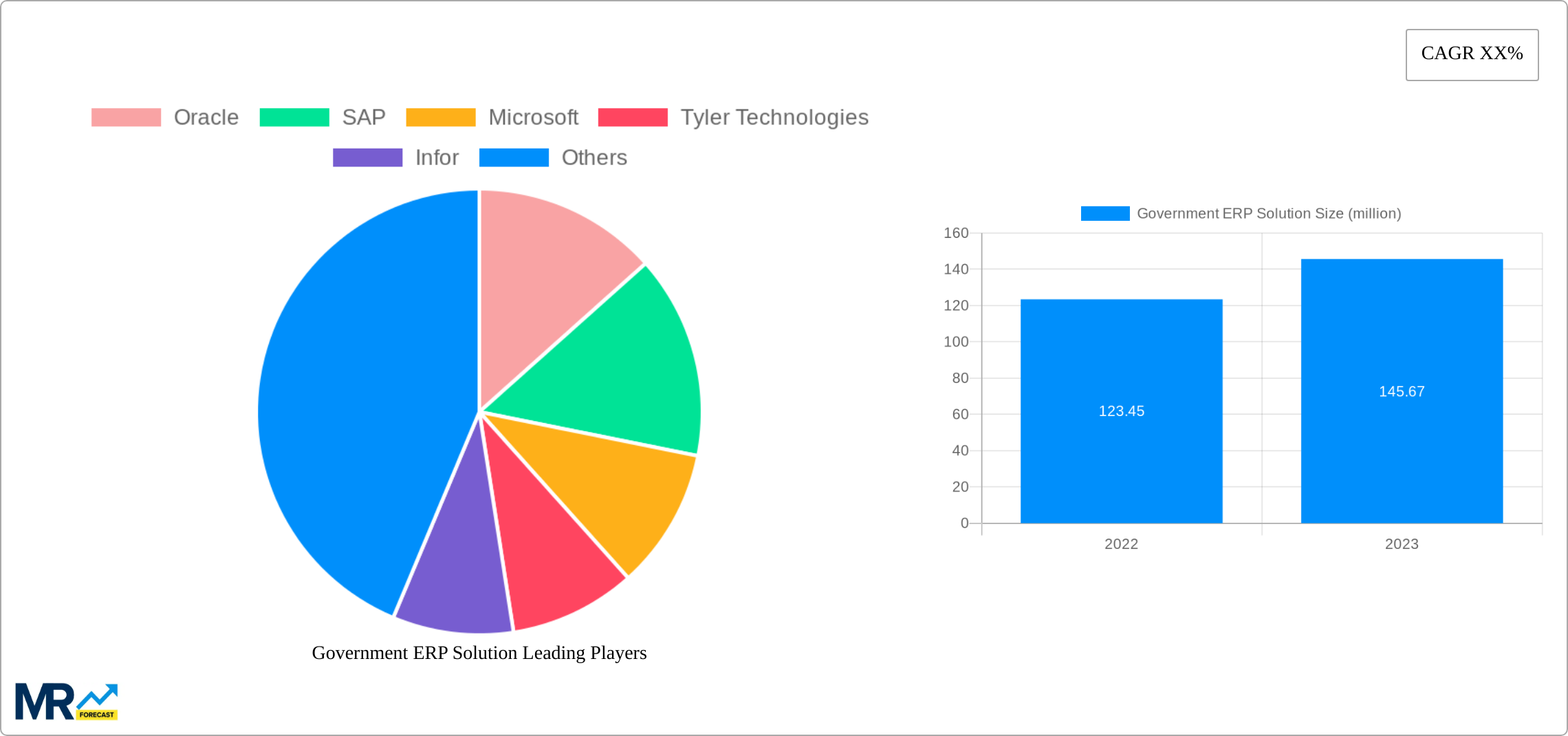 Government ERP Solution Research Report - Market Size, Growth & Forecast