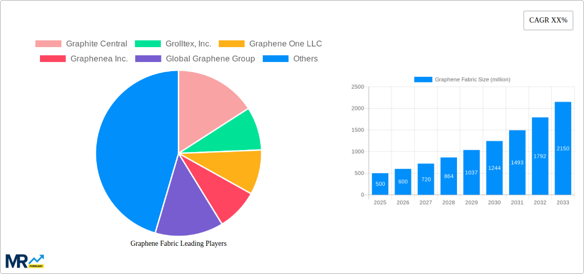 Graphene Fabric Research Report - Market Size, Growth & Forecast