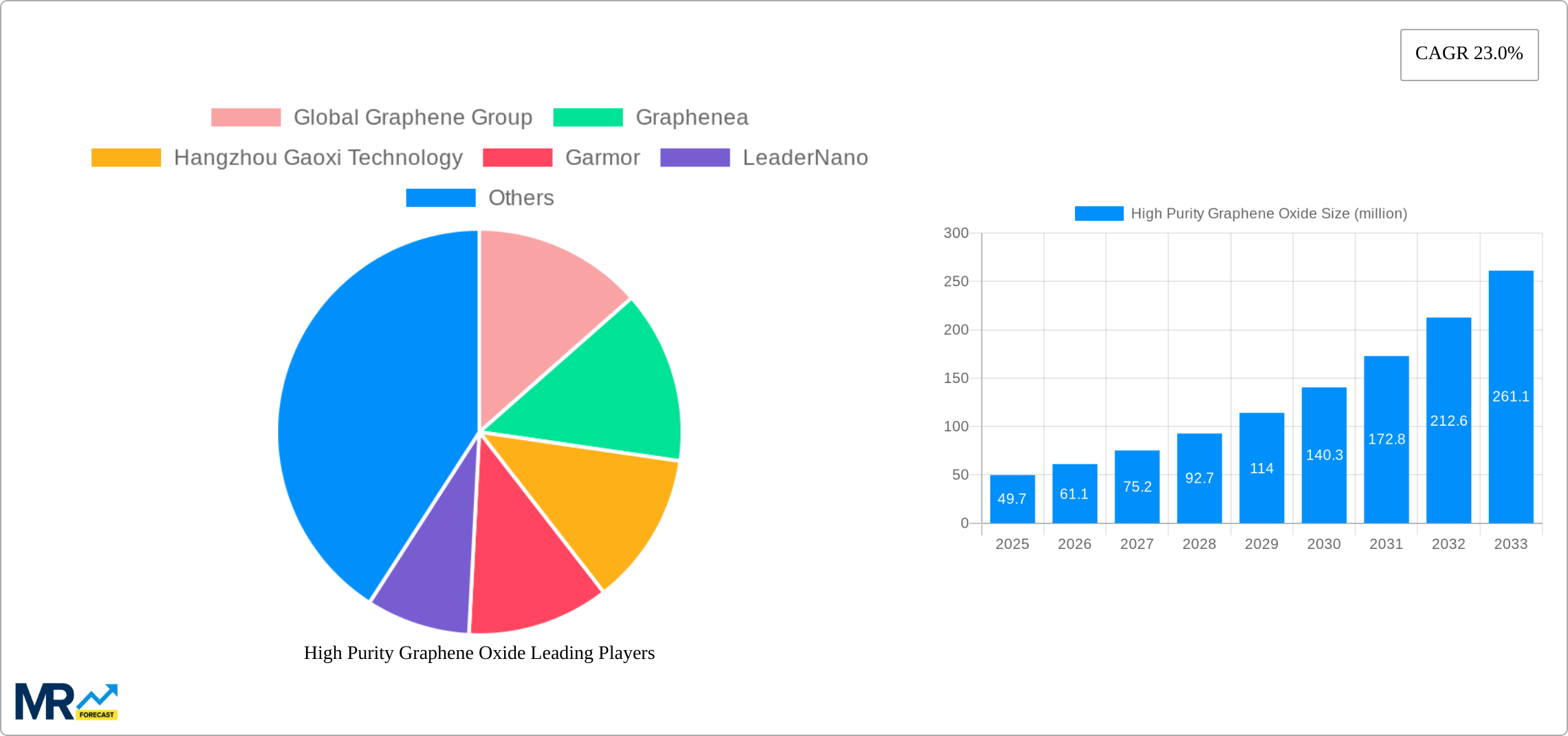 High Purity Graphene Oxide Research Report - Market Size, Growth & Forecast