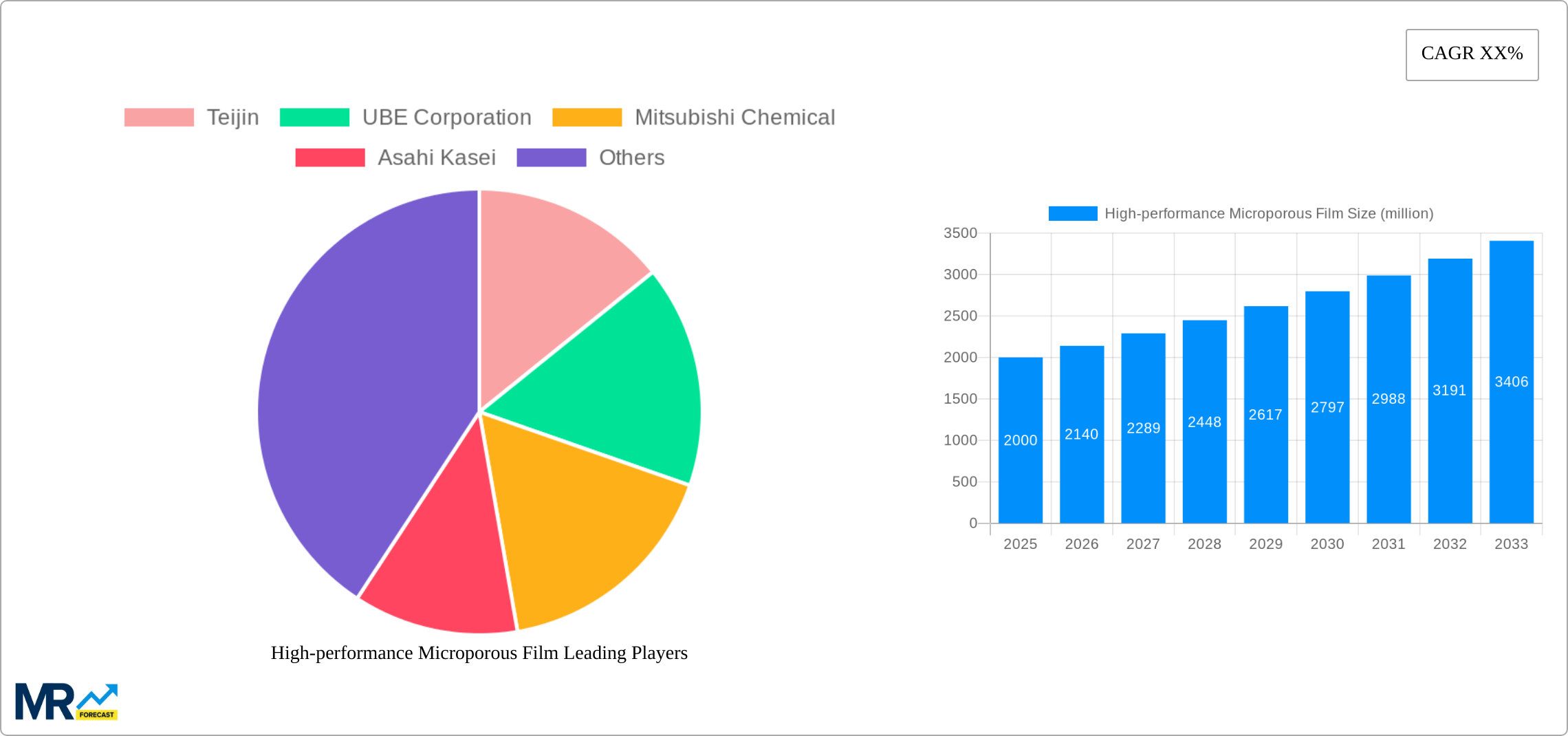High-performance Microporous Film Research Report - Market Size, Growth & Forecast