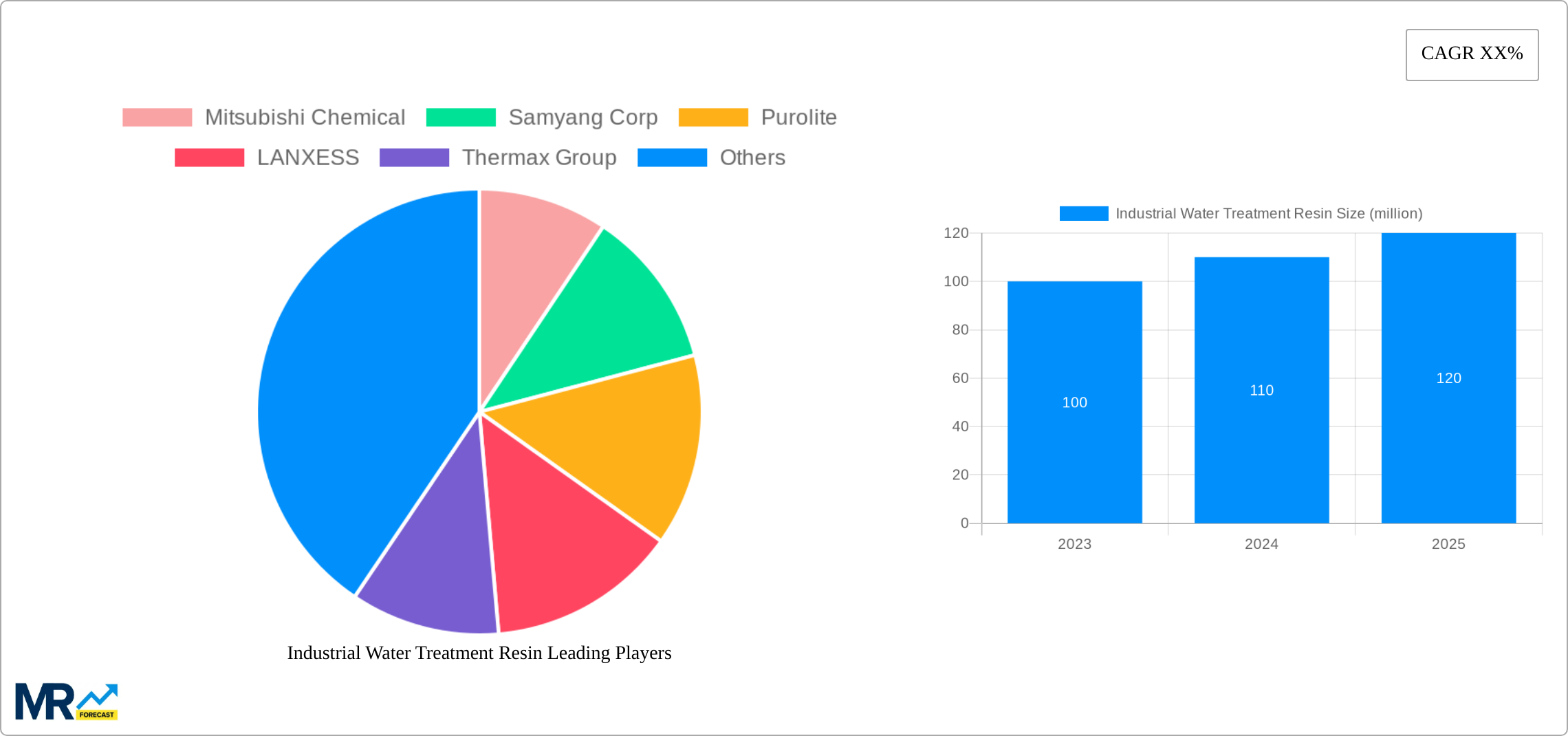 Industrial Water Treatment Resin Research Report - Market Size, Growth & Forecast