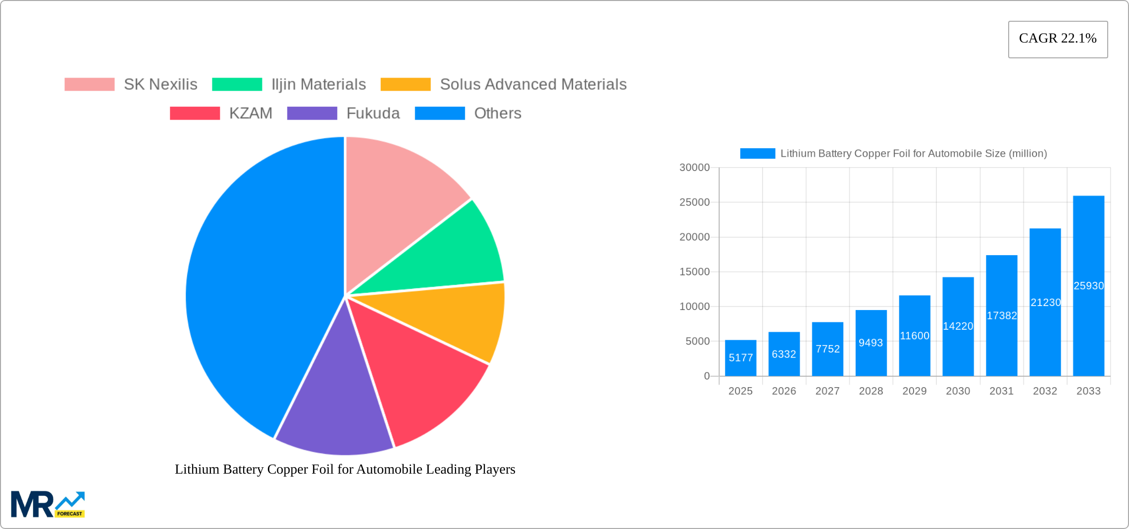 Lithium Battery Copper Foil for Automobile Research Report - Market Size, Growth & Forecast