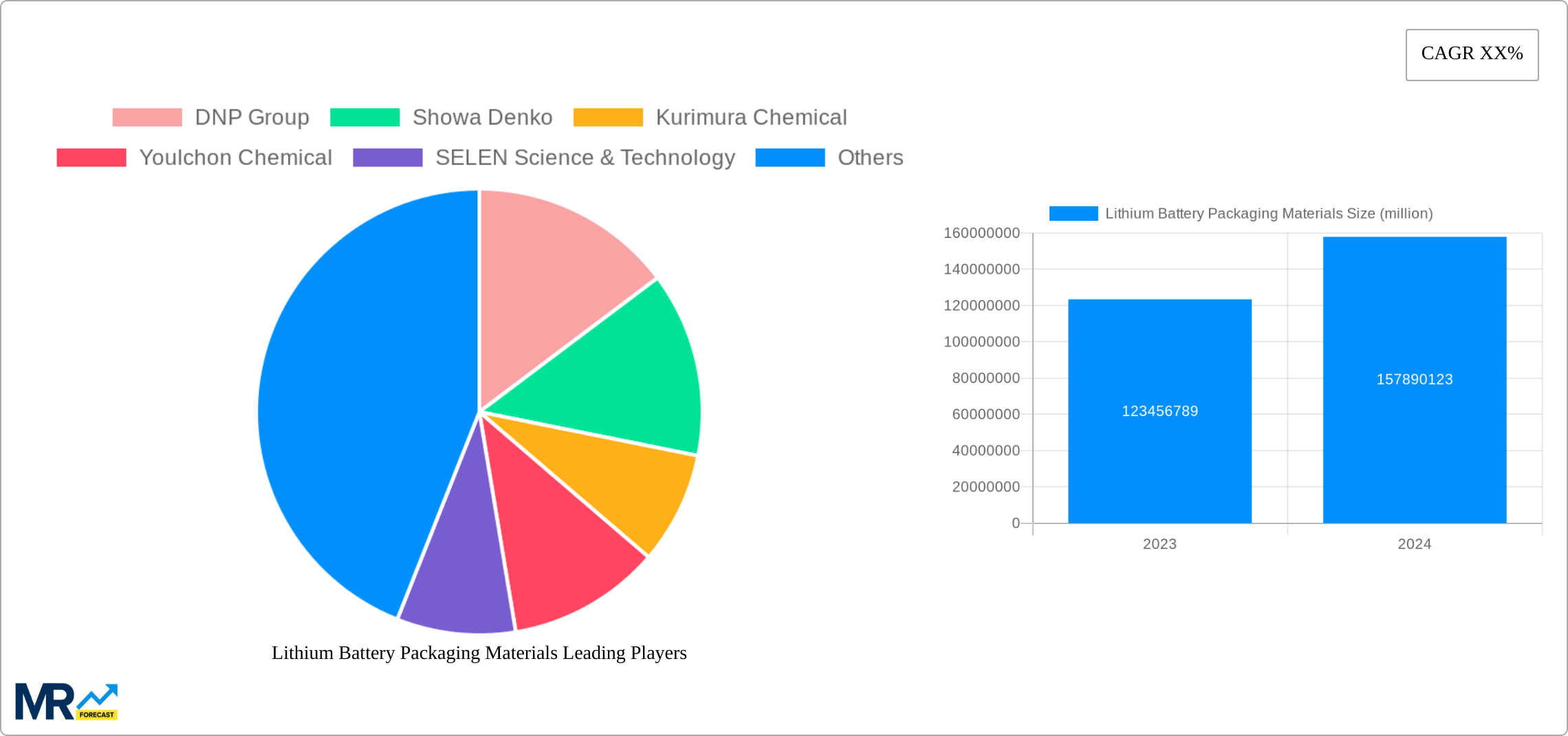 Lithium Battery Packaging Materials Research Report - Market Size, Growth & Forecast