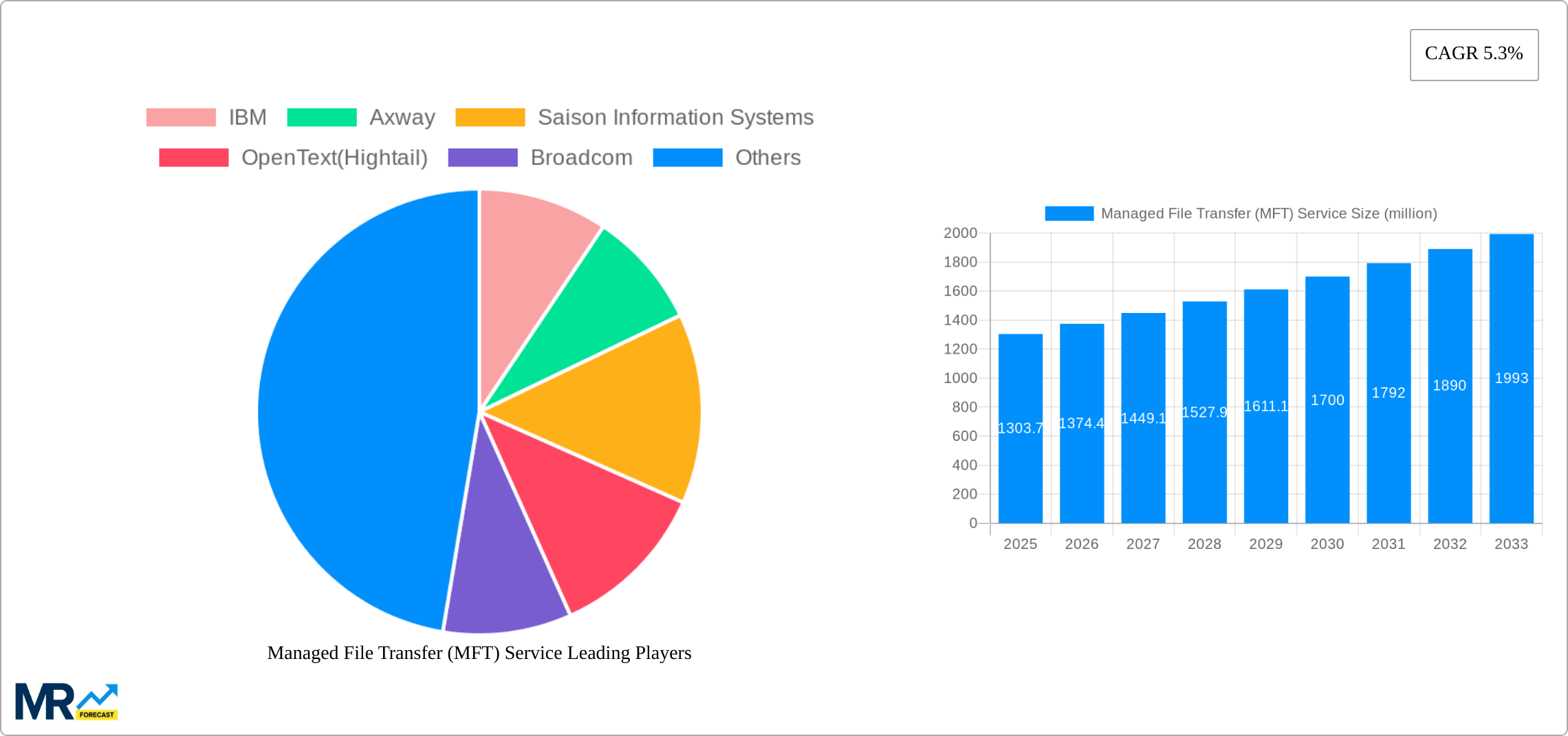 Managed File Transfer (MFT) Service Research Report - Market Size, Growth & Forecast