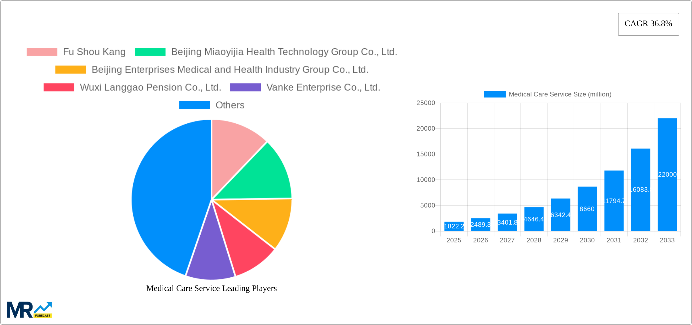 Medical Care Service Research Report - Market Size, Growth & Forecast