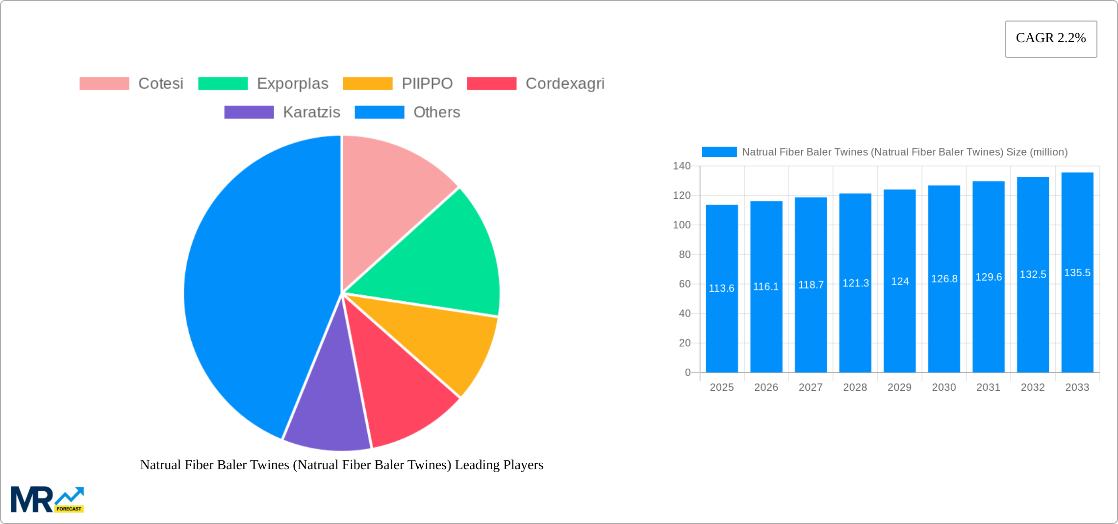 Natrual Fiber Baler Twines (Natrual Fiber Baler Twines) Research Report - Market Size, Growth & Forecast