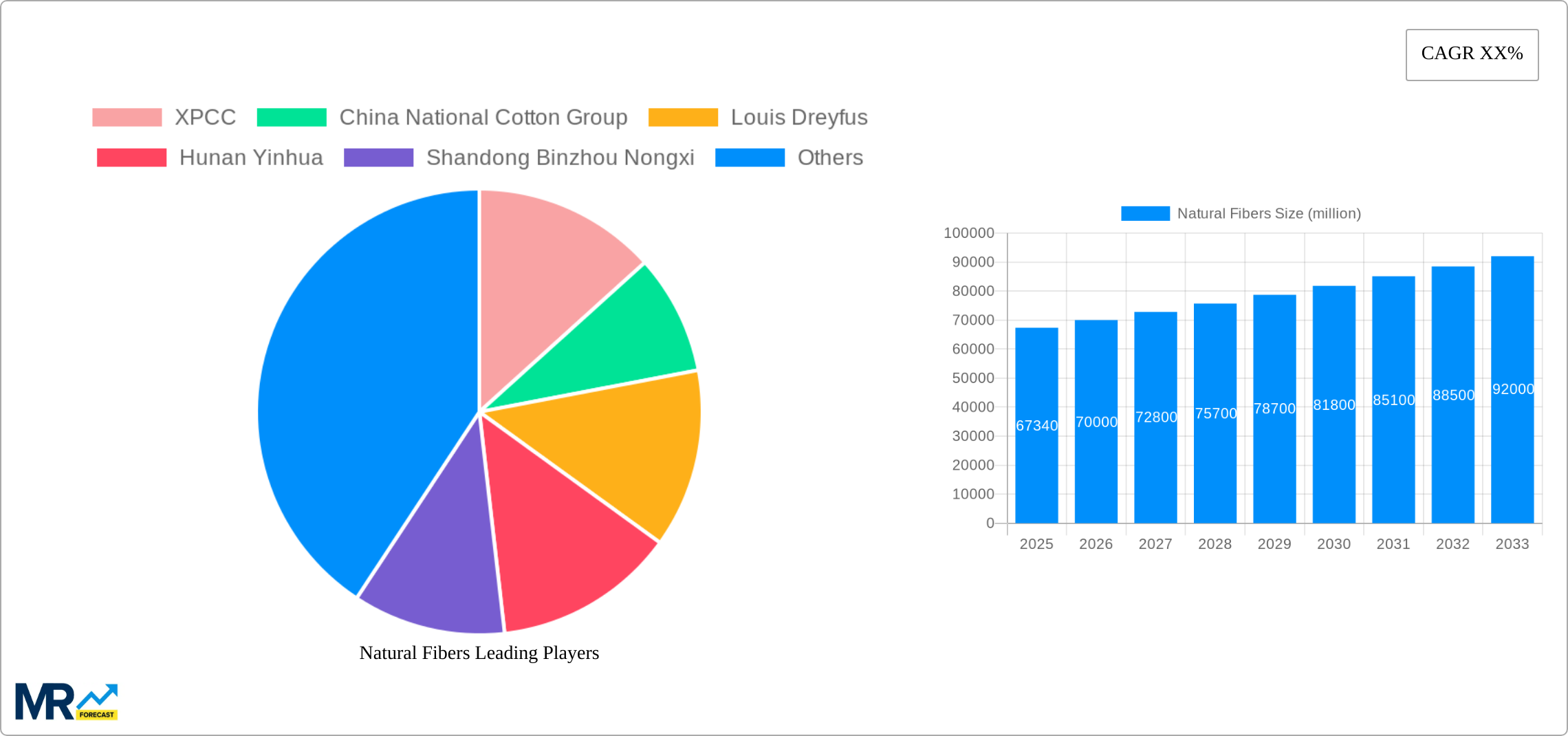 Natural Fibers Research Report - Market Size, Growth & Forecast
