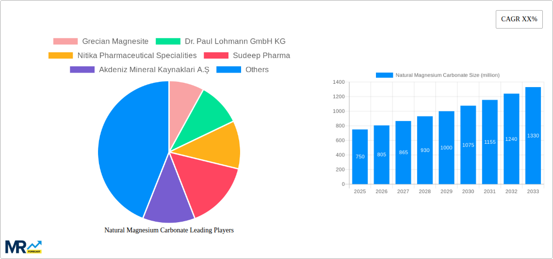 Natural Magnesium Carbonate Research Report - Market Size, Growth & Forecast