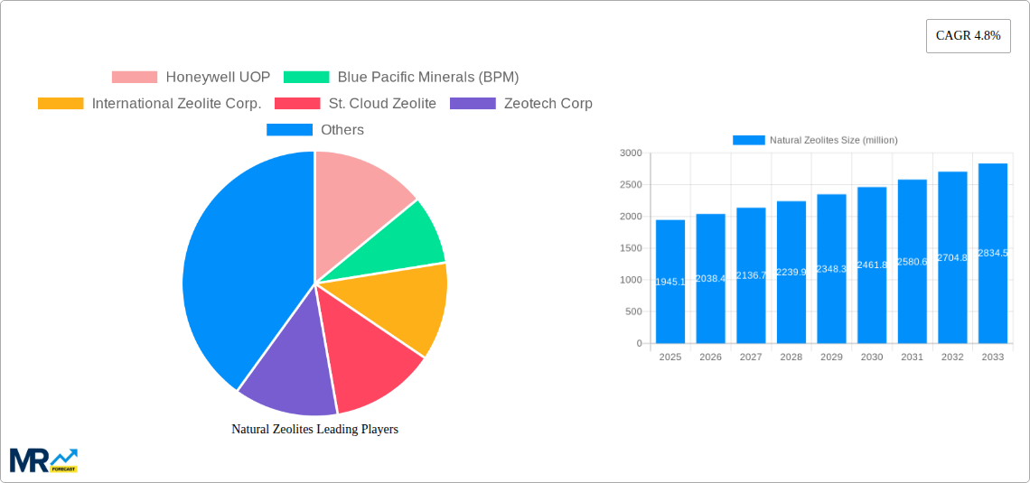 Natural Zeolites Research Report - Market Size, Growth & Forecast