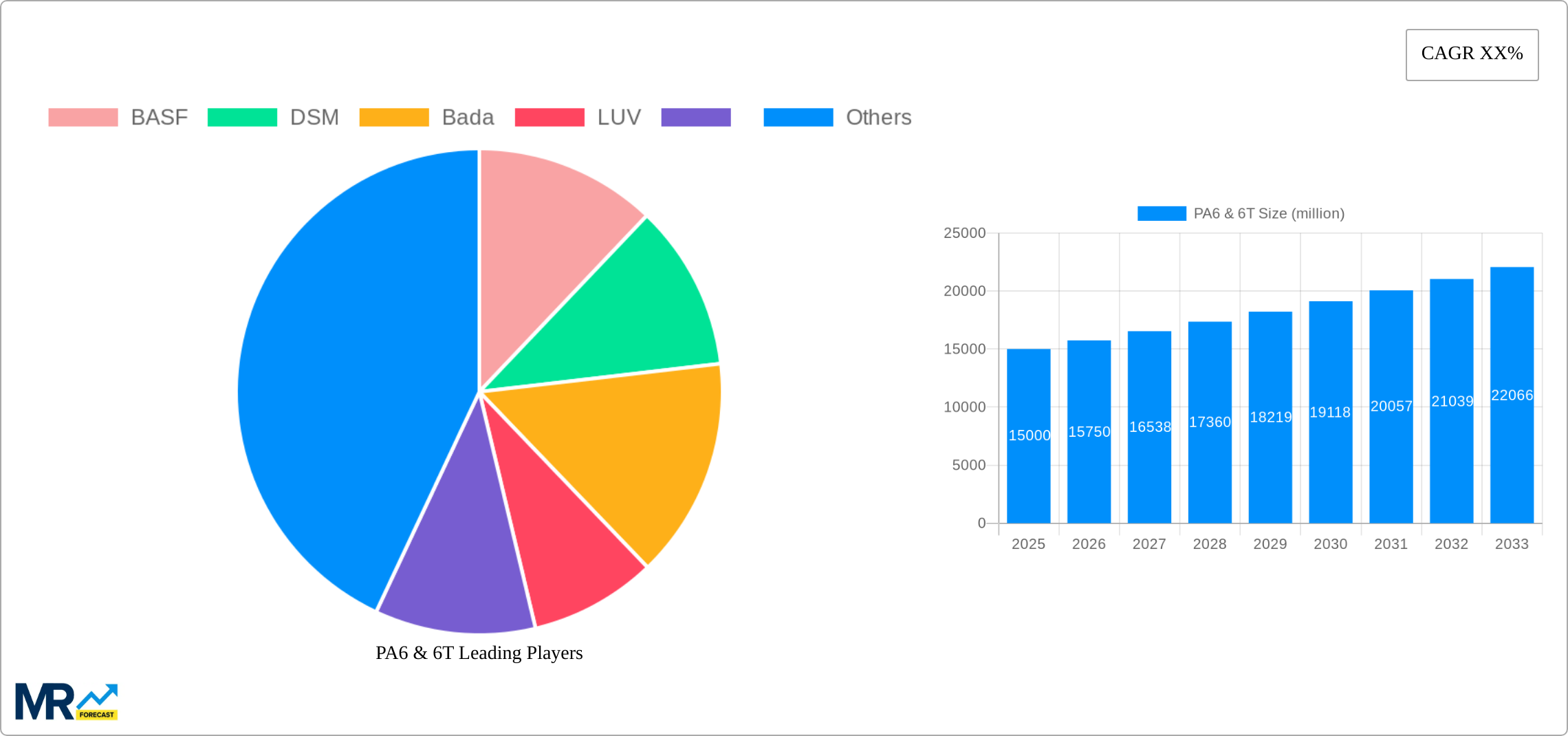 PA6 & 6T Research Report - Market Size, Growth & Forecast