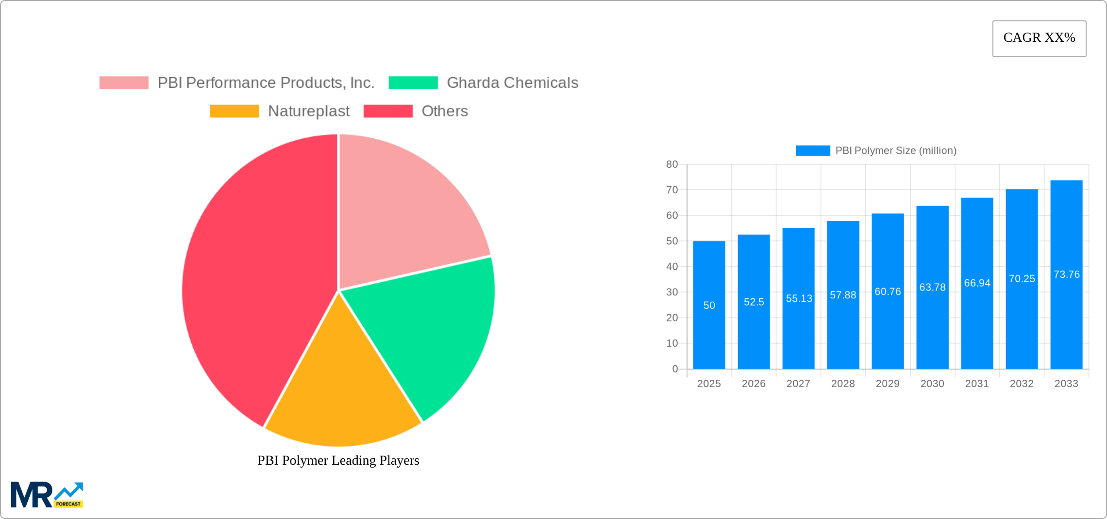 PBI Polymer Research Report - Market Size, Growth & Forecast