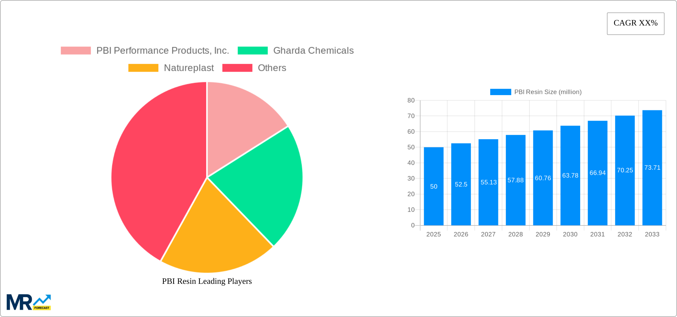 PBI Resin Research Report - Market Size, Growth & Forecast