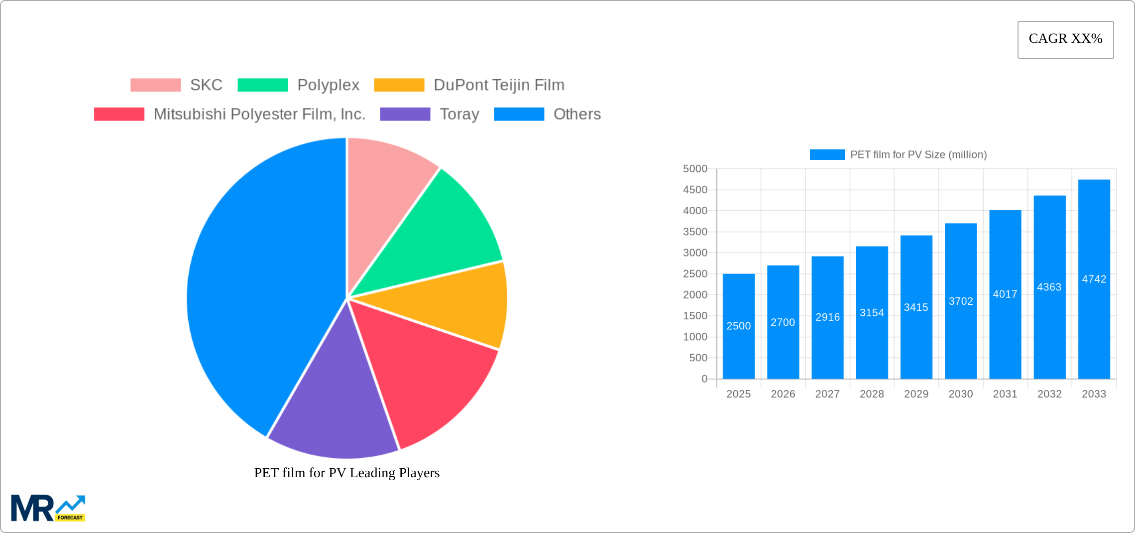 PET film for PV Research Report - Market Size, Growth & Forecast