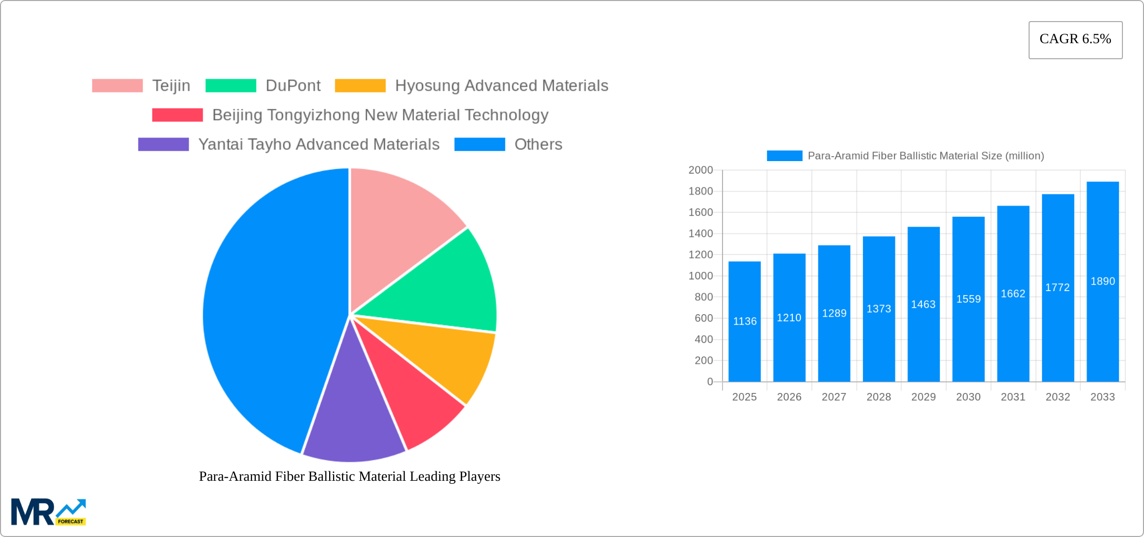 Para-Aramid Fiber Ballistic Material Research Report - Market Size, Growth & Forecast