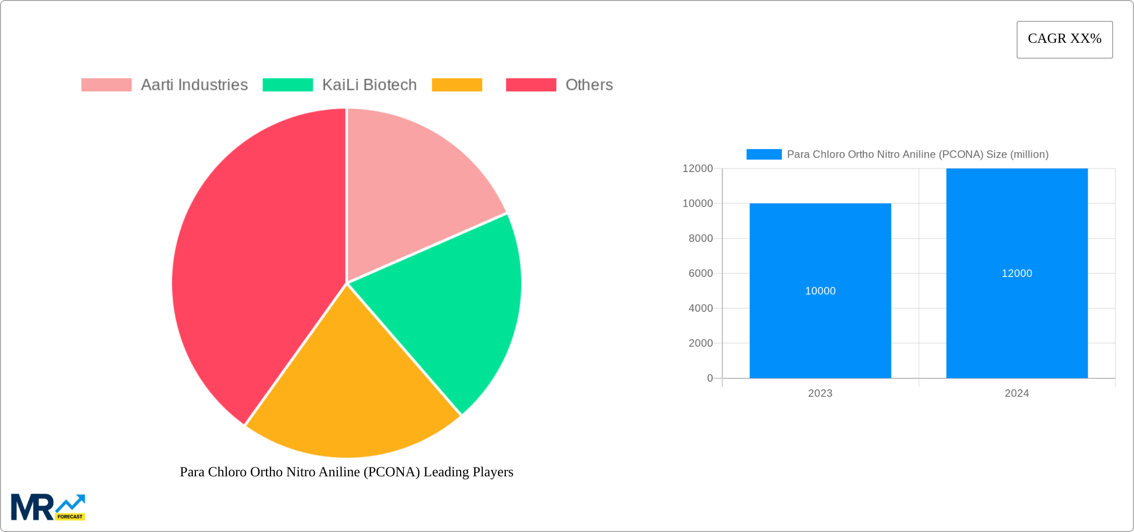 Para Chloro Ortho Nitro Aniline (PCONA) Research Report - Market Size, Growth & Forecast
