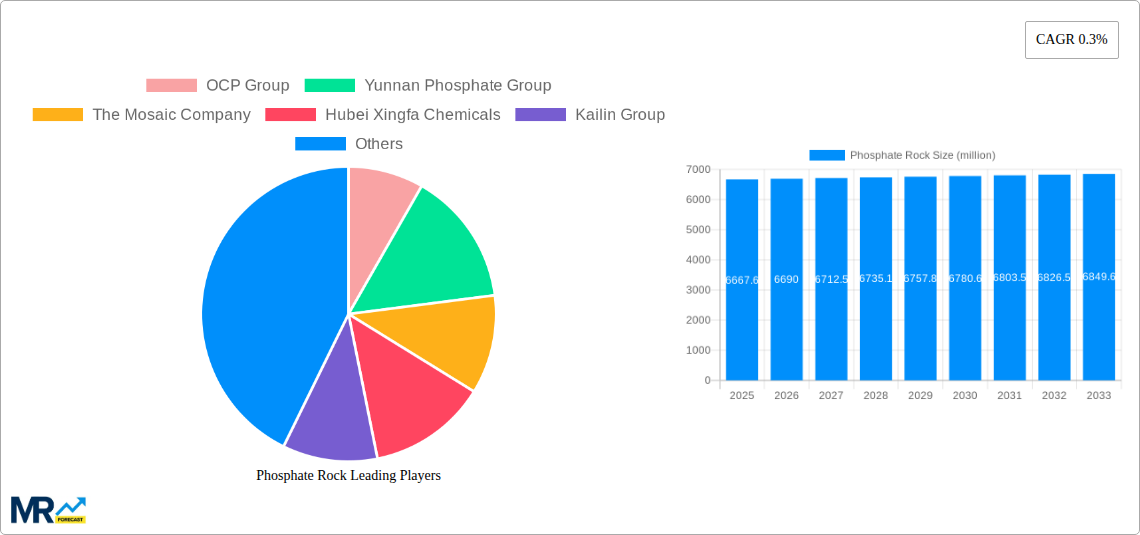 Phosphate Rock Research Report - Market Size, Growth & Forecast
