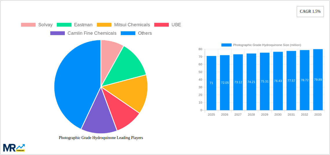 Photographic Grade Hydroquinone Research Report - Market Size, Growth & Forecast