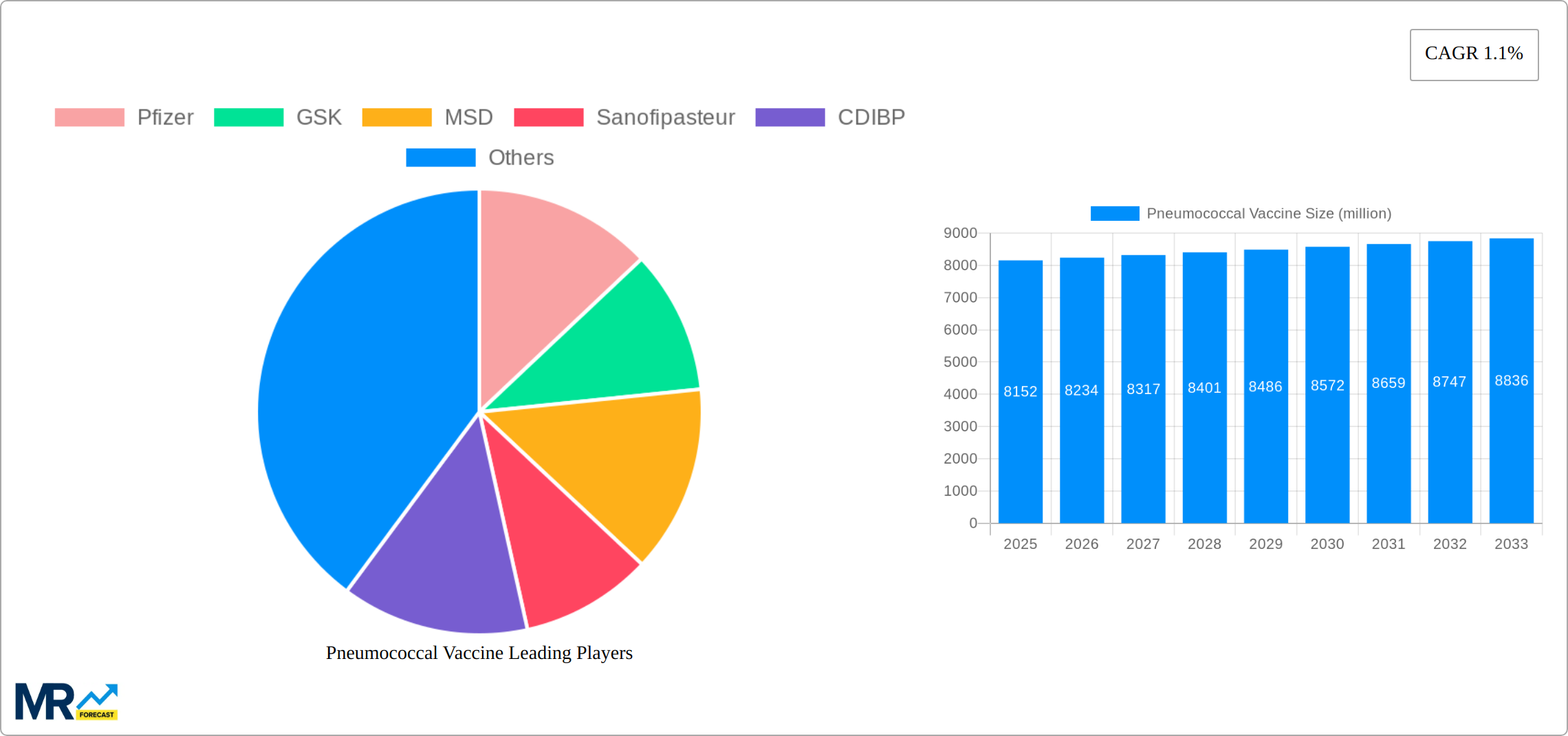 Pneumococcal Vaccine Research Report - Market Size, Growth & Forecast