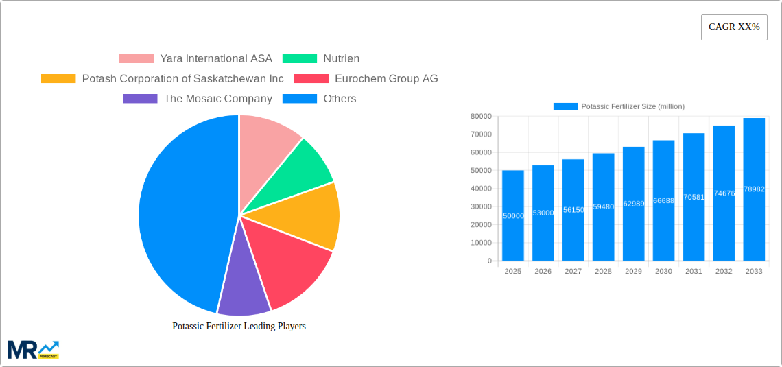 Potassic Fertilizer Research Report - Market Size, Growth & Forecast
