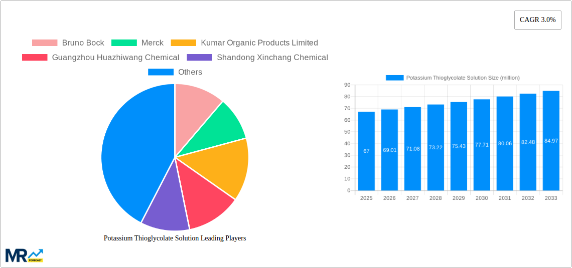 Potassium Thioglycolate Solution Research Report - Market Size, Growth & Forecast