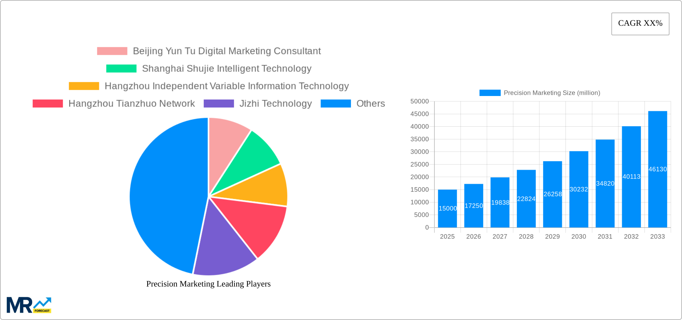 Precision Marketing Research Report - Market Size, Growth & Forecast