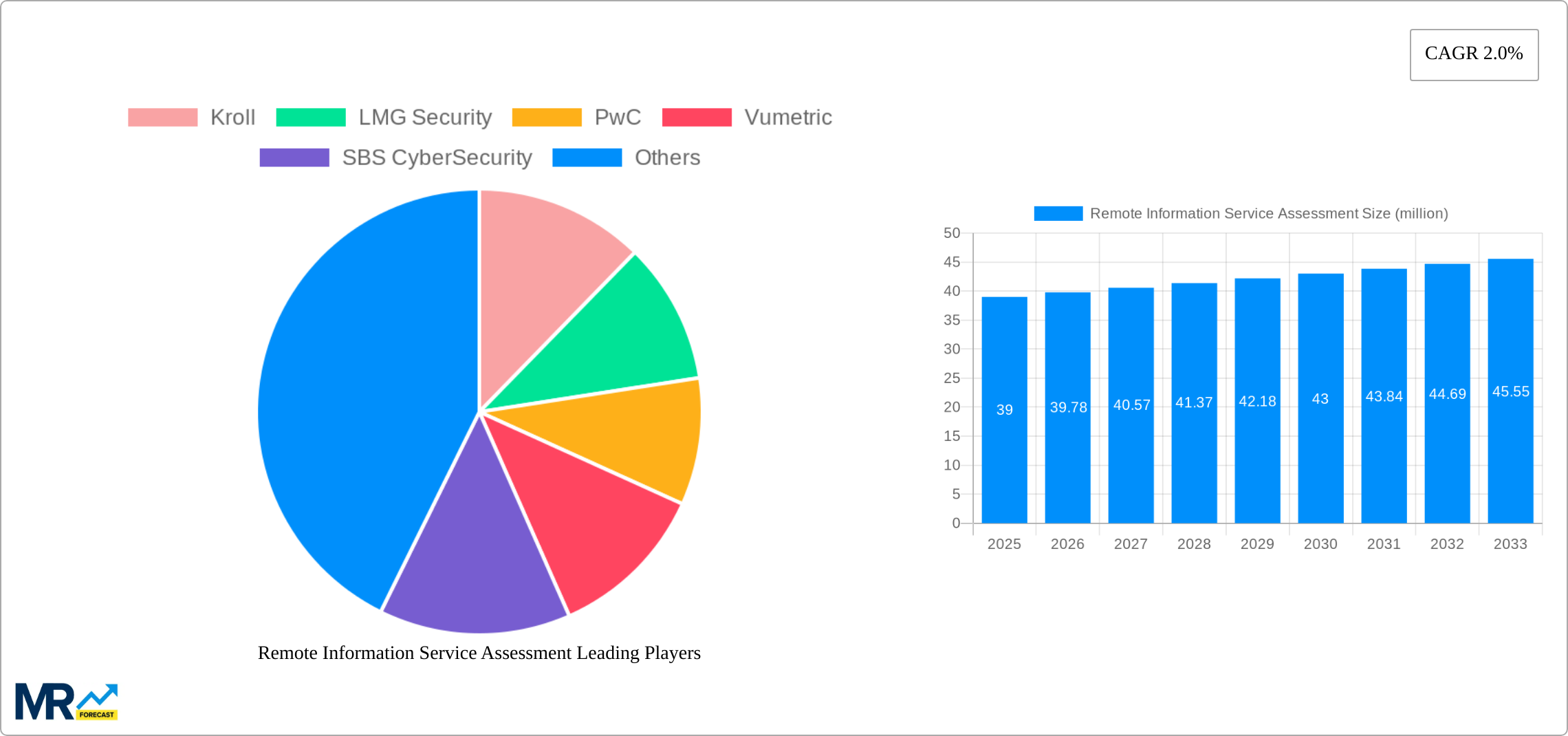 Remote Information Service Assessment Research Report - Market Size, Growth & Forecast