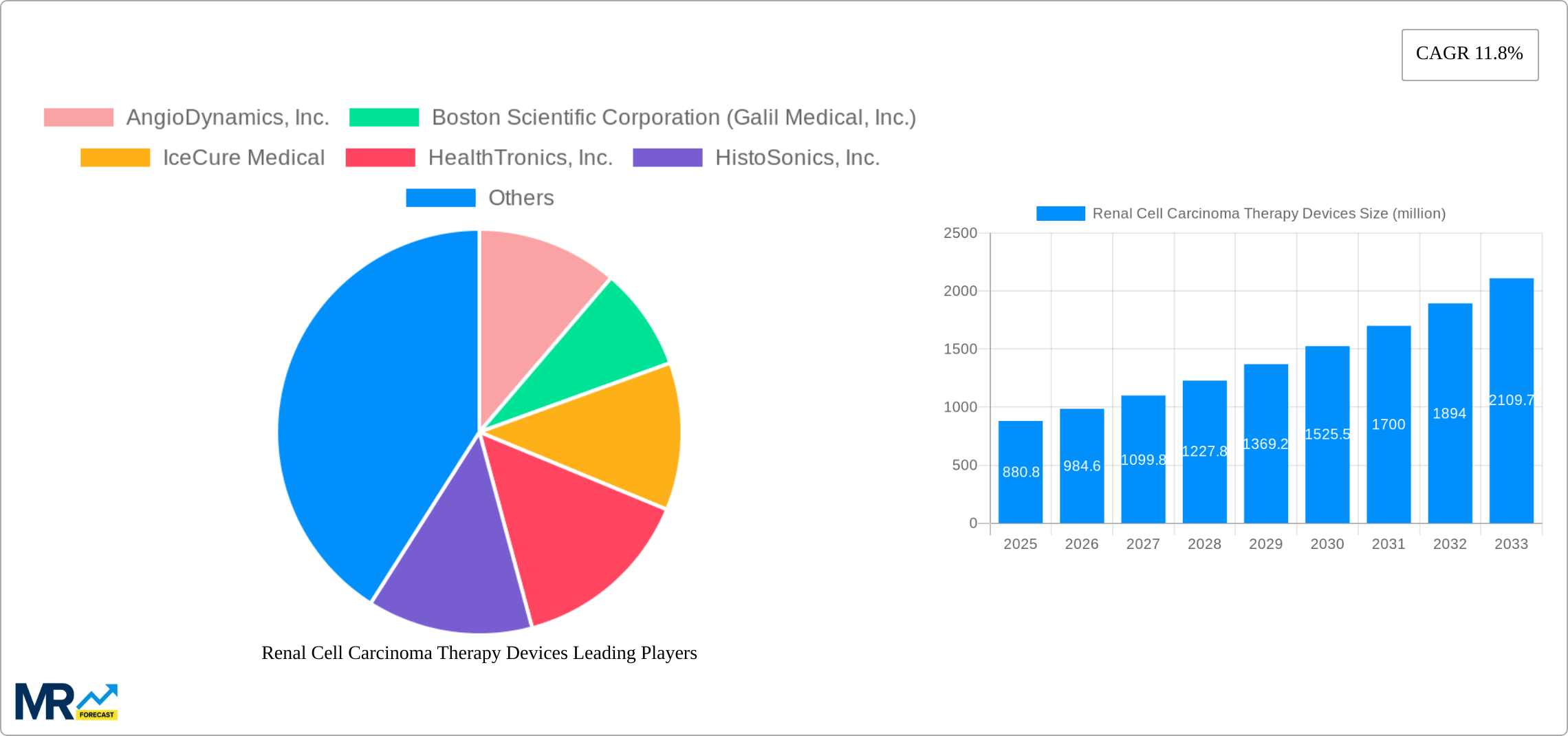 Renal Cell Carcinoma Therapy Devices Research Report - Market Size, Growth & Forecast