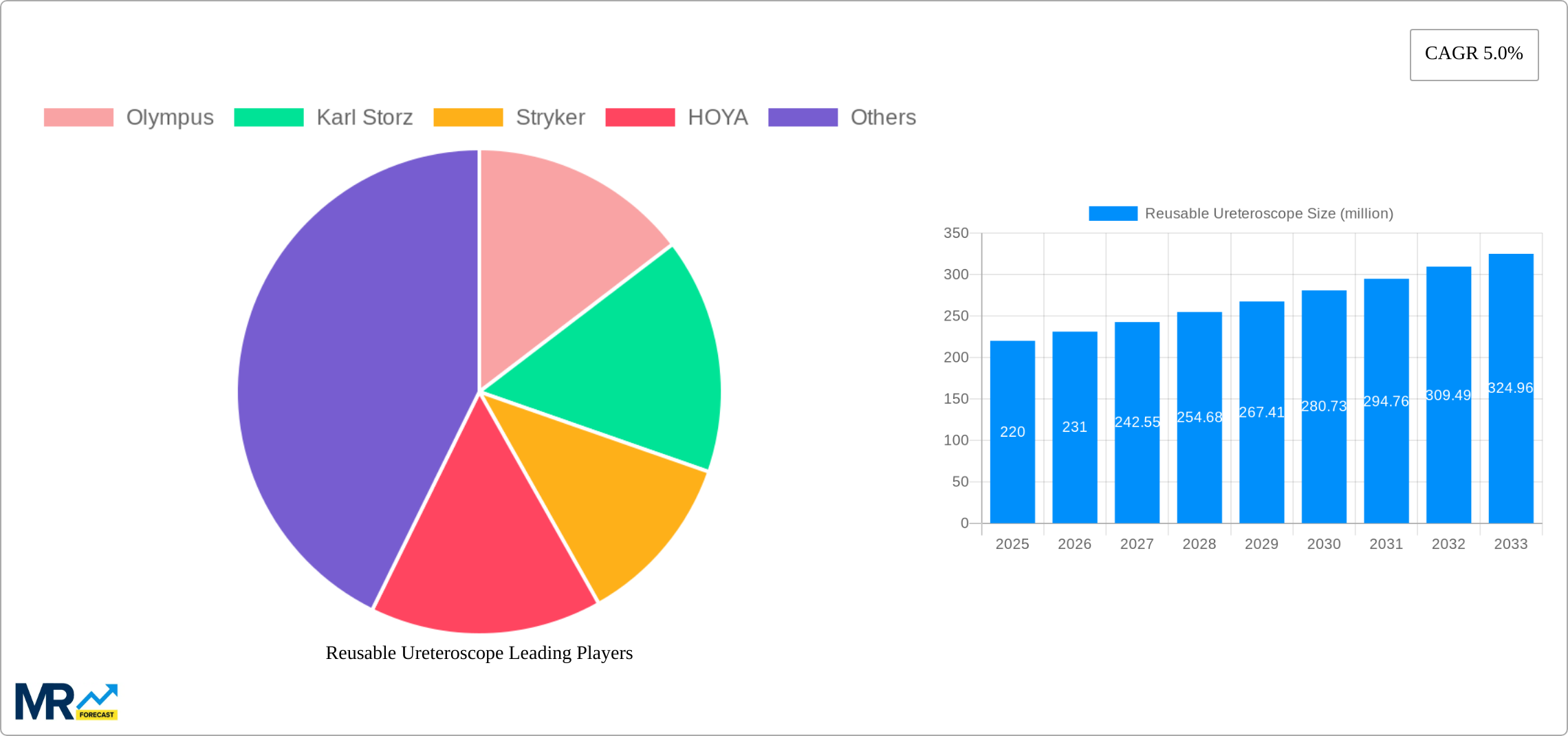 Reusable Ureteroscope Research Report - Market Size, Growth & Forecast