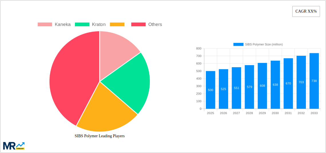 SIBS Polymer Research Report - Market Size, Growth & Forecast