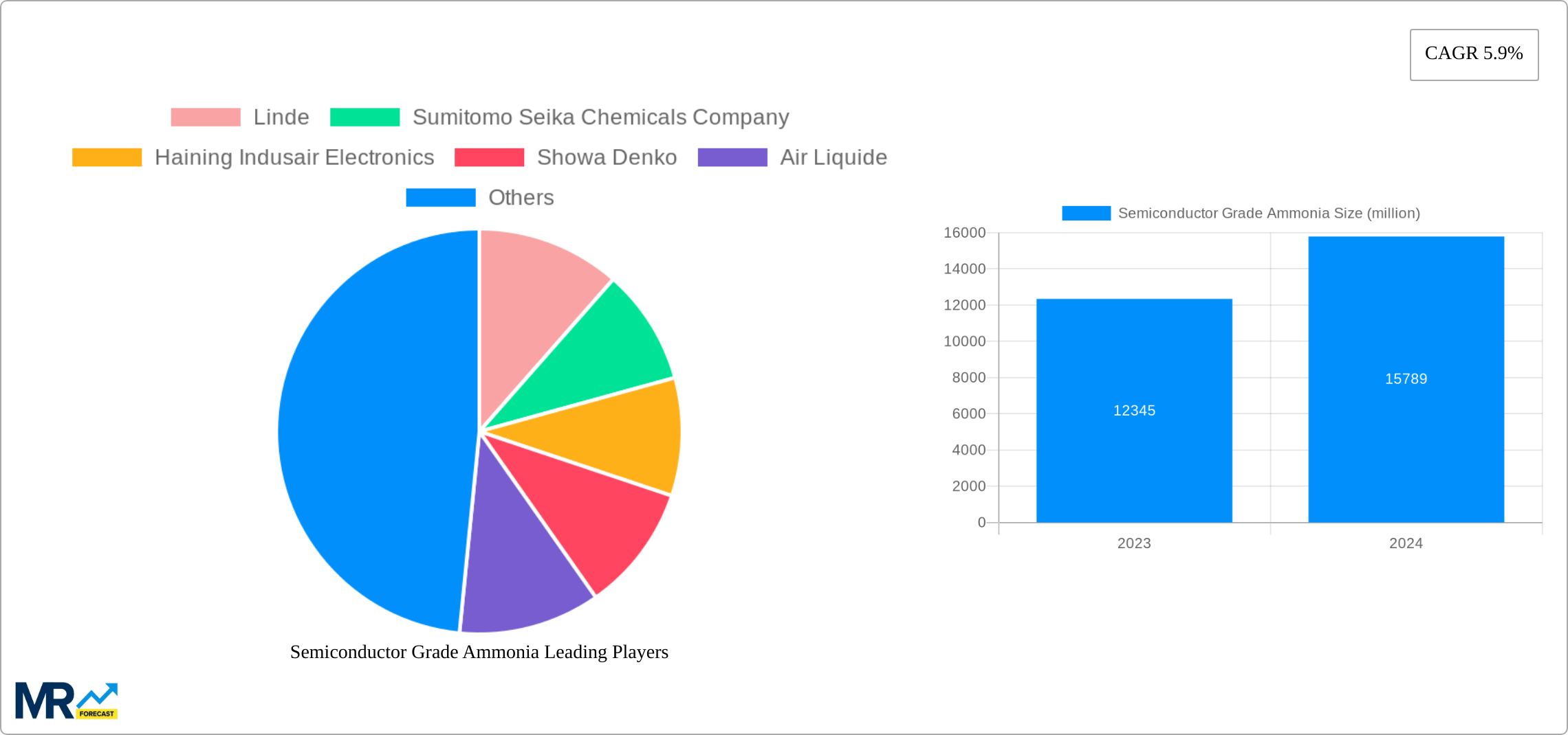 Semiconductor Grade Ammonia Research Report - Market Size, Growth & Forecast