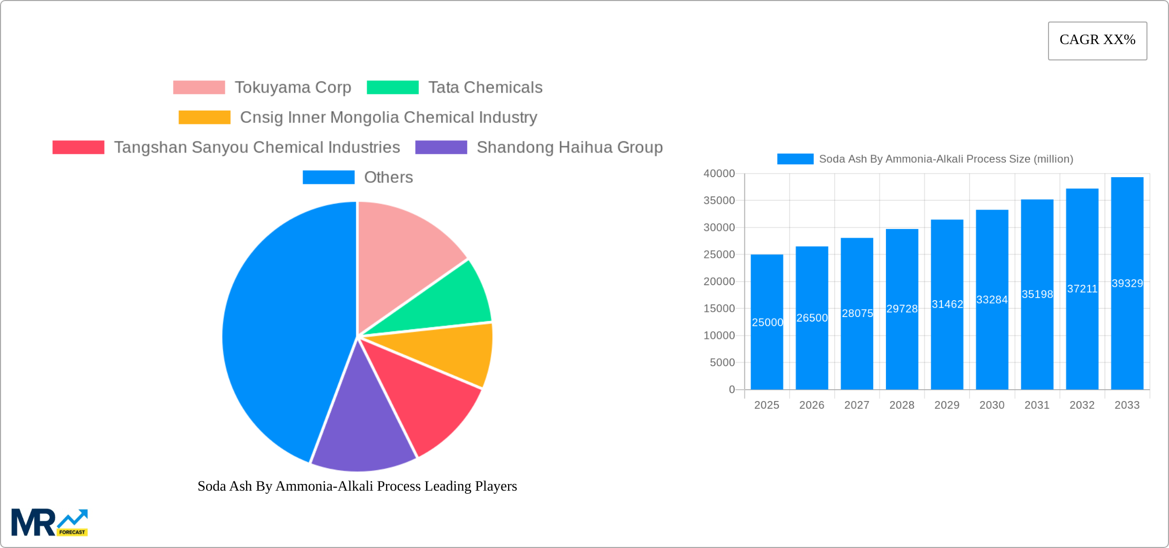 Soda Ash By Ammonia-Alkali Process Research Report - Market Size, Growth & Forecast