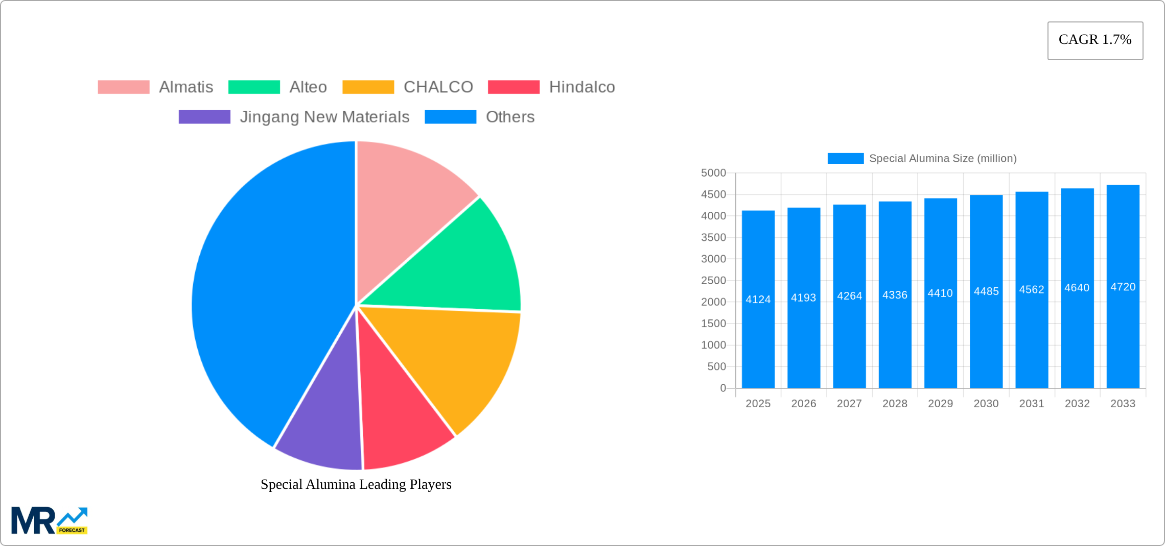 Special Alumina Research Report - Market Size, Growth & Forecast