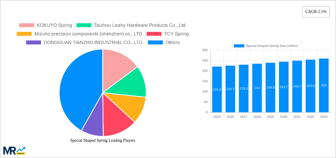 Special Shaped Spring Research Report - Market Size, Growth & Forecast