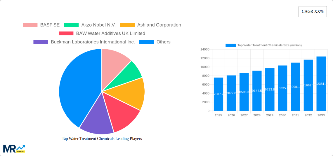 Tap Water Treatment Chemicals Research Report - Market Size, Growth & Forecast