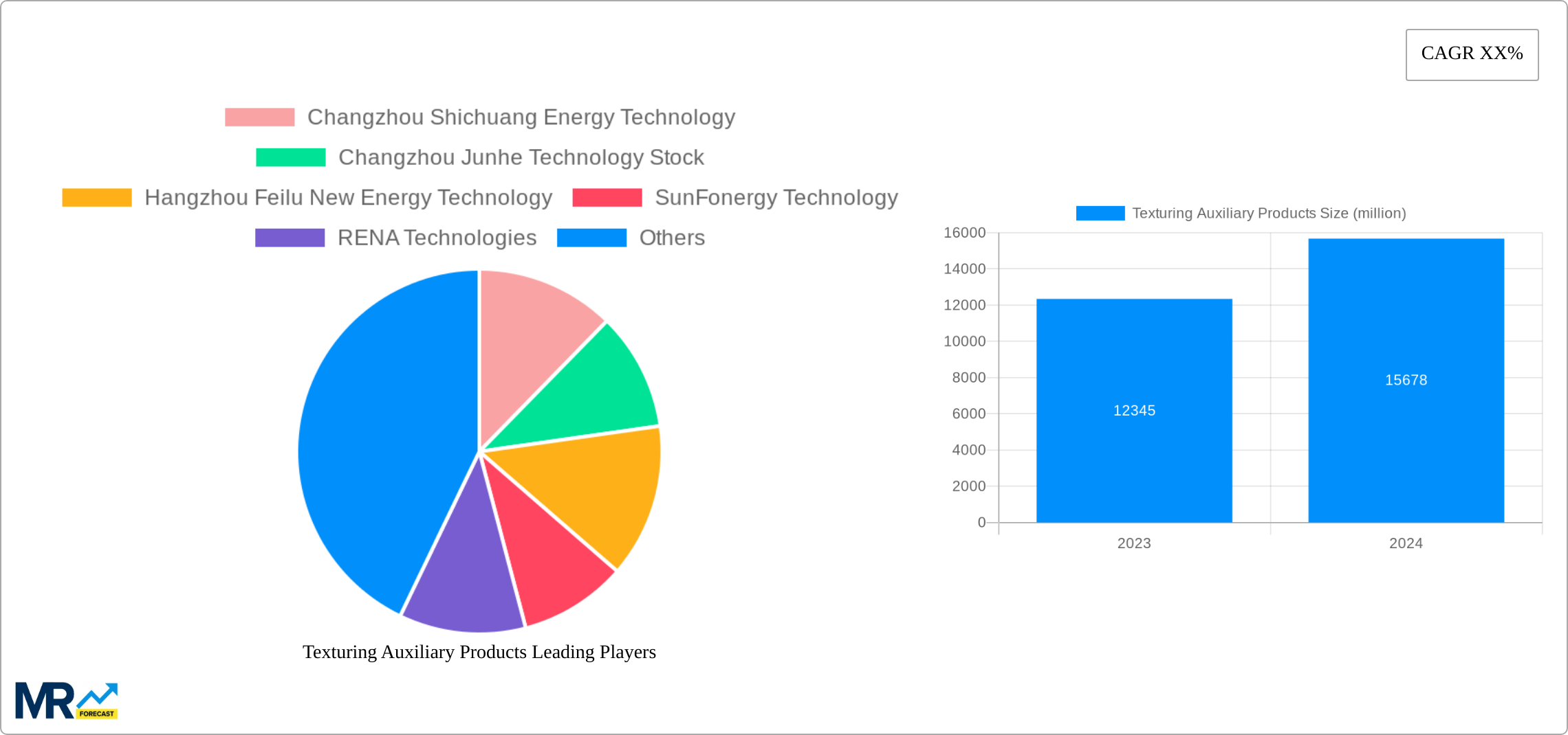 Texturing Auxiliary Products Research Report - Market Size, Growth & Forecast