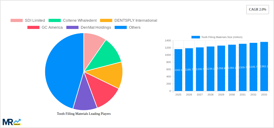 Tooth Filling Materials Research Report - Market Size, Growth & Forecast