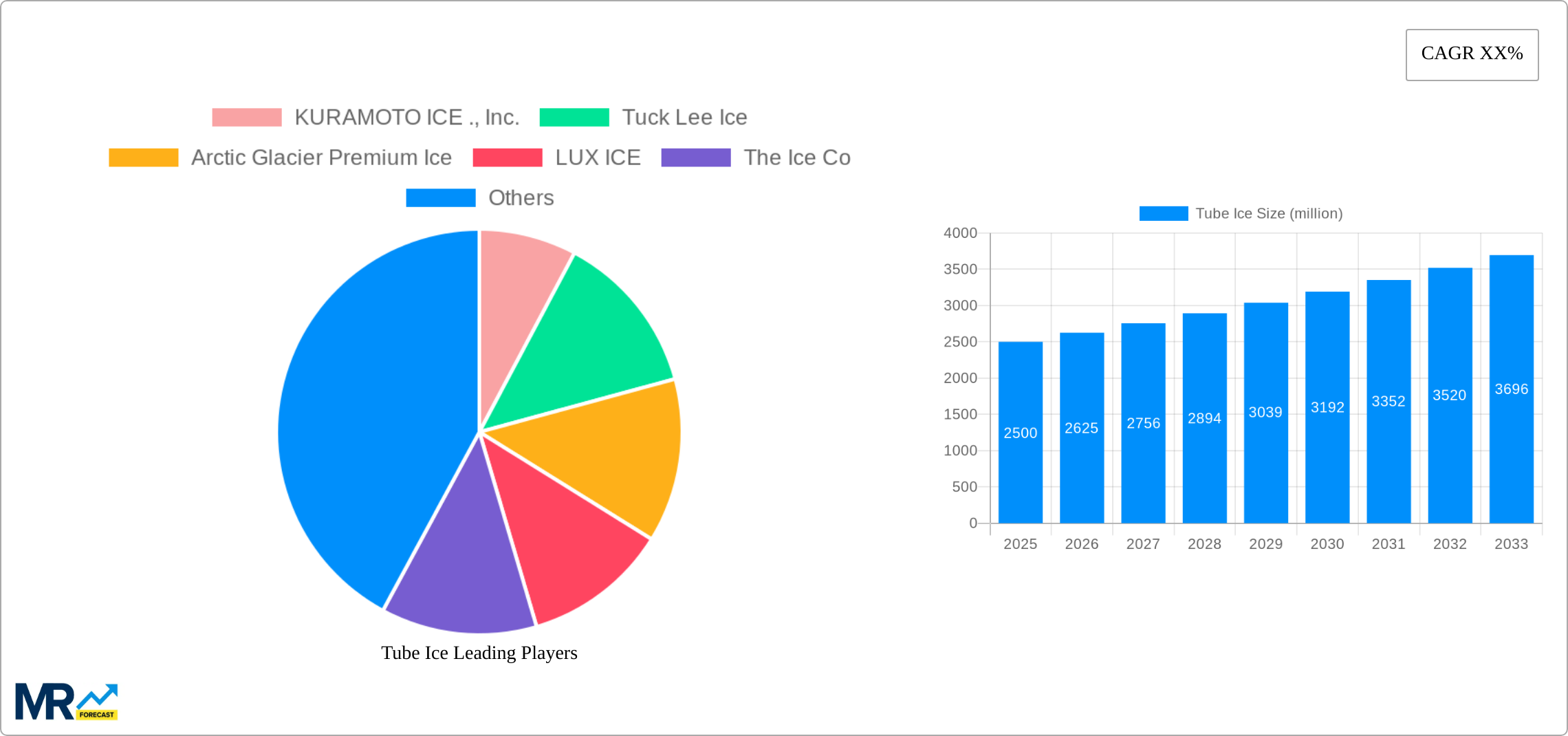 Tube Ice Research Report - Market Size, Growth & Forecast