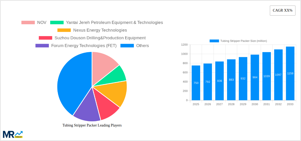 Tubing Stripper Packer Research Report - Market Size, Growth & Forecast