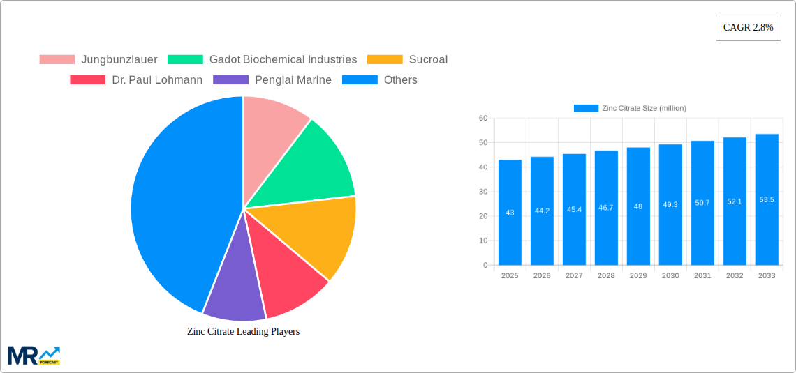 Zinc Citrate Research Report - Market Size, Growth & Forecast