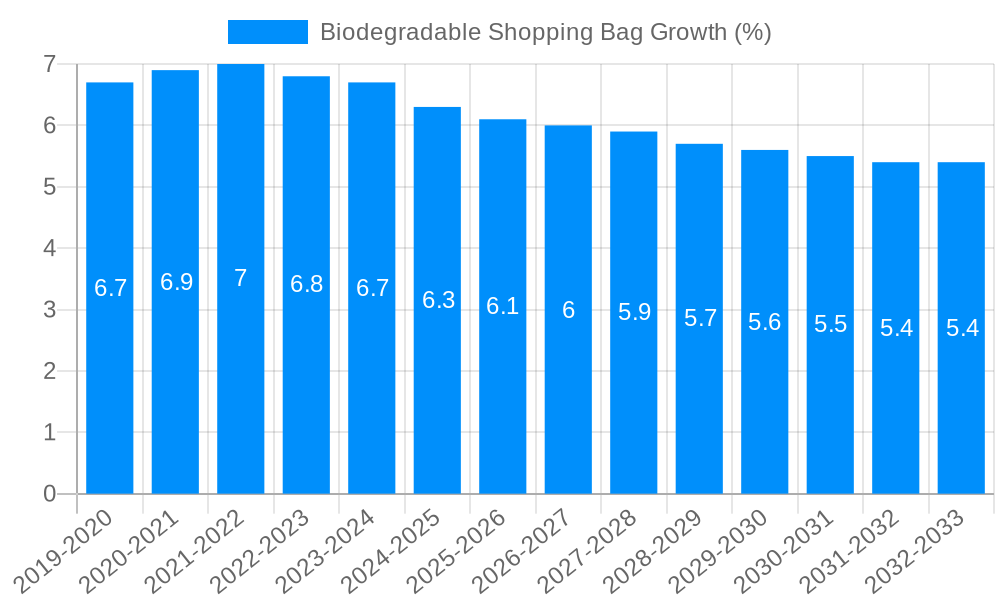 Biodegradable Shopping Bag Growth
