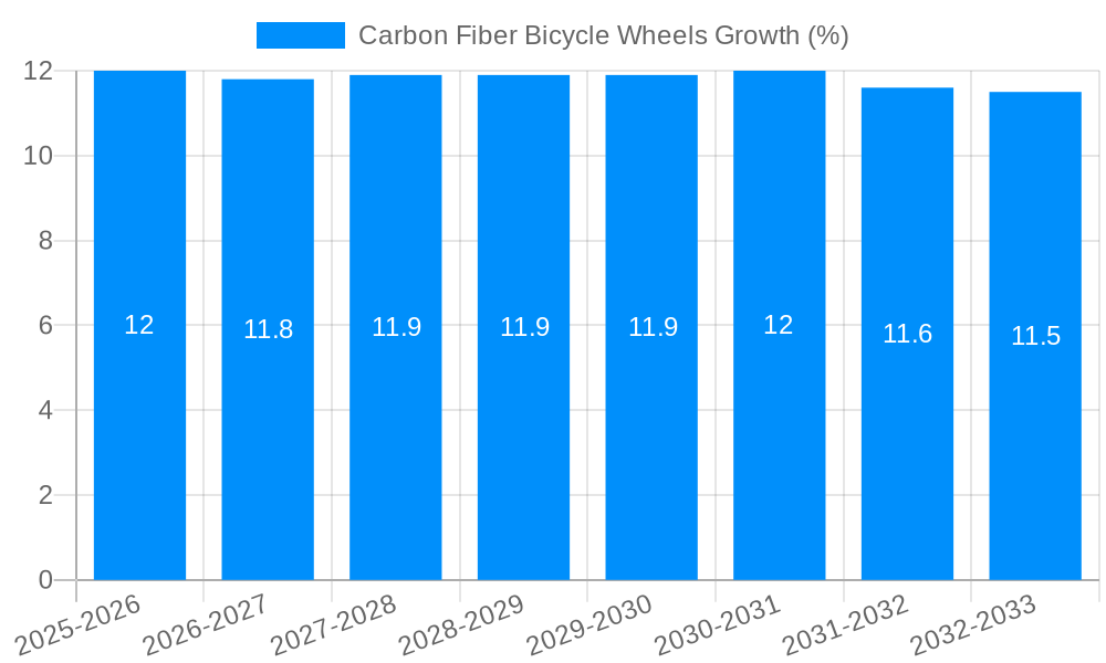 Carbon Fiber Bicycle Wheels Growth
