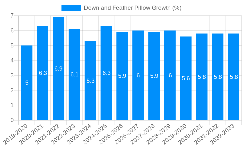 Down and Feather Pillow Growth