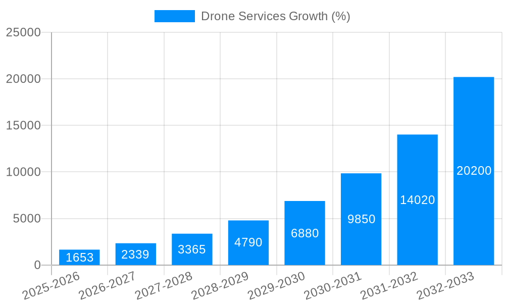 Drone Services Growth