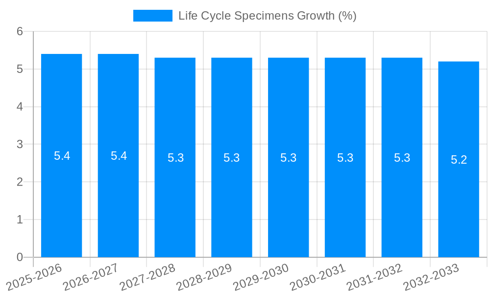 Life Cycle Specimens Growth