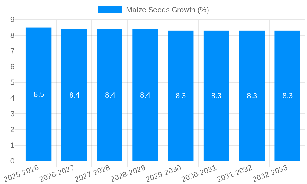 Maize Seeds Growth